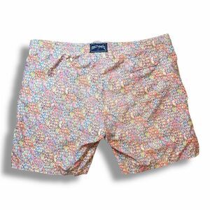 Michaels Men's Mesh Liner Swim Trunks Multicolor Abstract Fish Blue  XL All Over